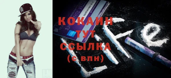 гидра Володарск