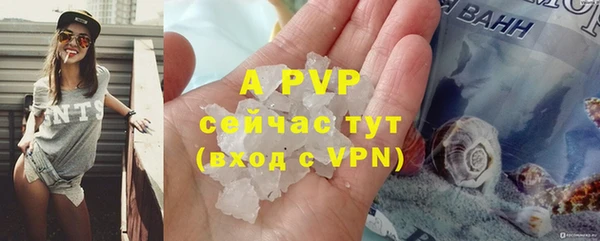 гидра Володарск