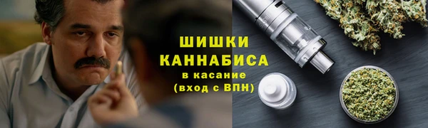 гидра Володарск