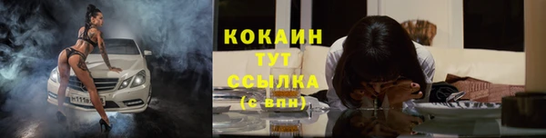 гидра Володарск
