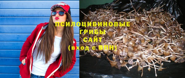 гидра Володарск