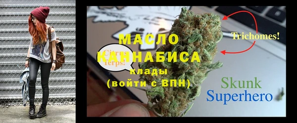 гидра Володарск
