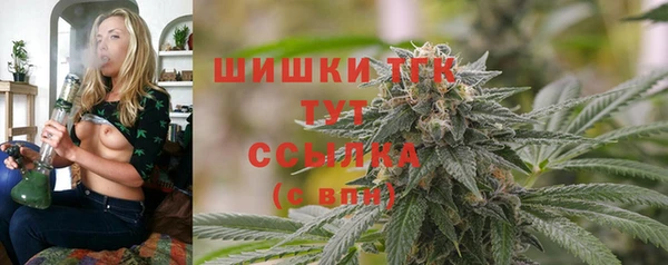 МДПВ Снежногорск
