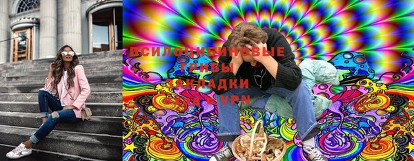 гидра Володарск