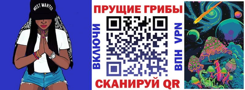 где продают   мориарти клад  Псилоцибиновые грибы мицелий  Отрадное 